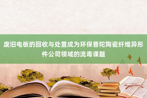 废旧电板的回收与处置成为环保普陀陶瓷纤维异形件公司领域的流毒课题